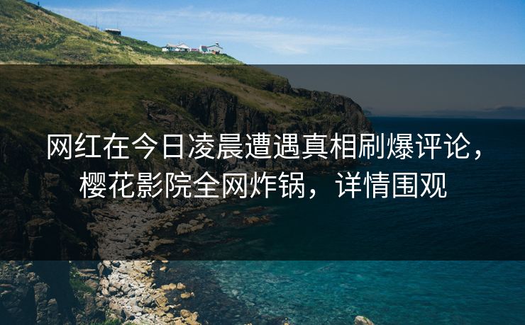 网红在今日凌晨遭遇真相刷爆评论，樱花影院全网炸锅，详情围观