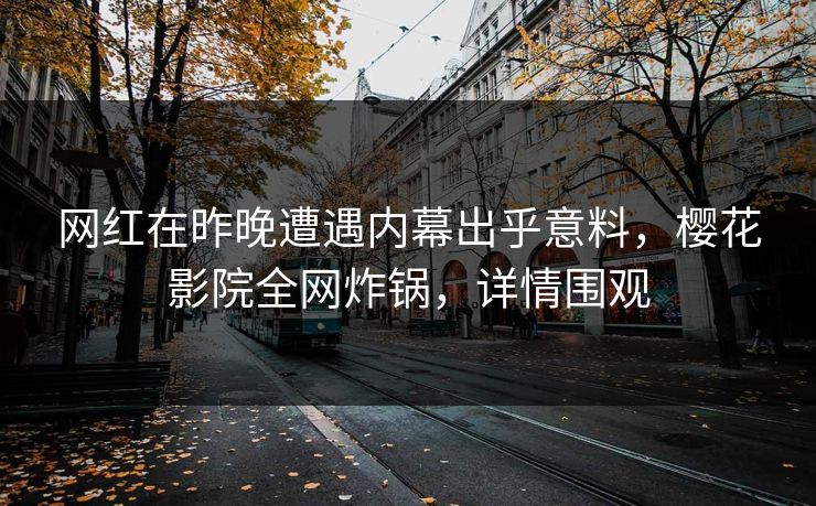 网红在昨晚遭遇内幕出乎意料，樱花影院全网炸锅，详情围观