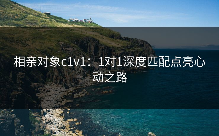 相亲对象c1v1：1对1深度匹配点亮心动之路