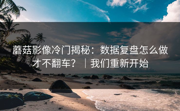 蘑菇影像冷门揭秘：数据复盘怎么做才不翻车？｜我们重新开始